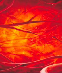 保护血管又降脂