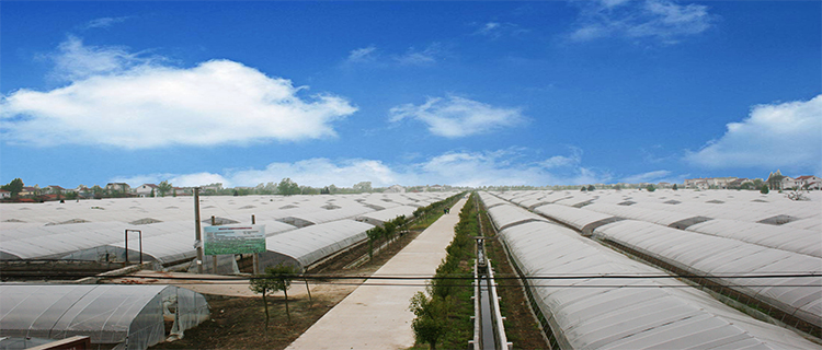 双羊农业生态基地